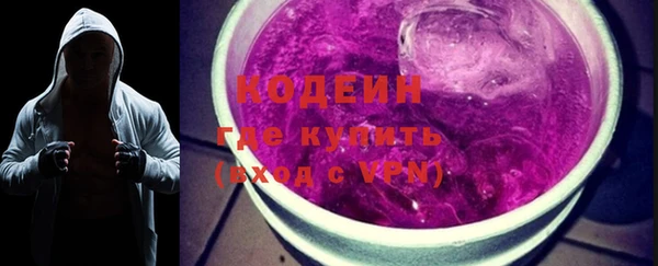индика Новокубанск