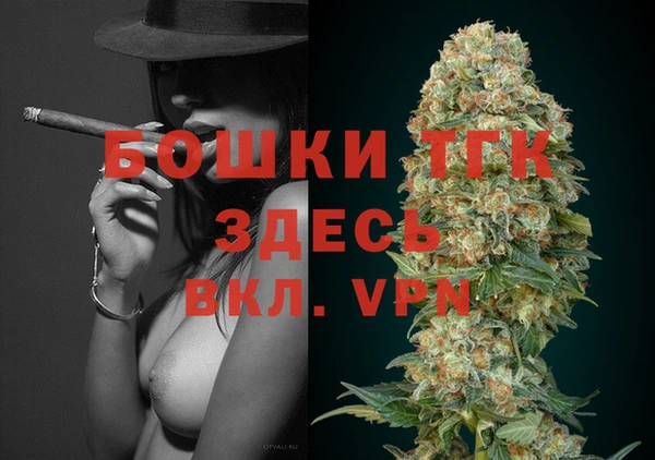 индика Новокубанск