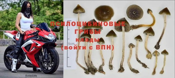 наркотики Новодвинск