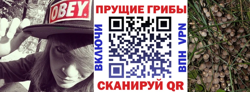 Галлюциногенные грибы GOLDEN TEACHER  как найти наркотики  Полярные Зори 